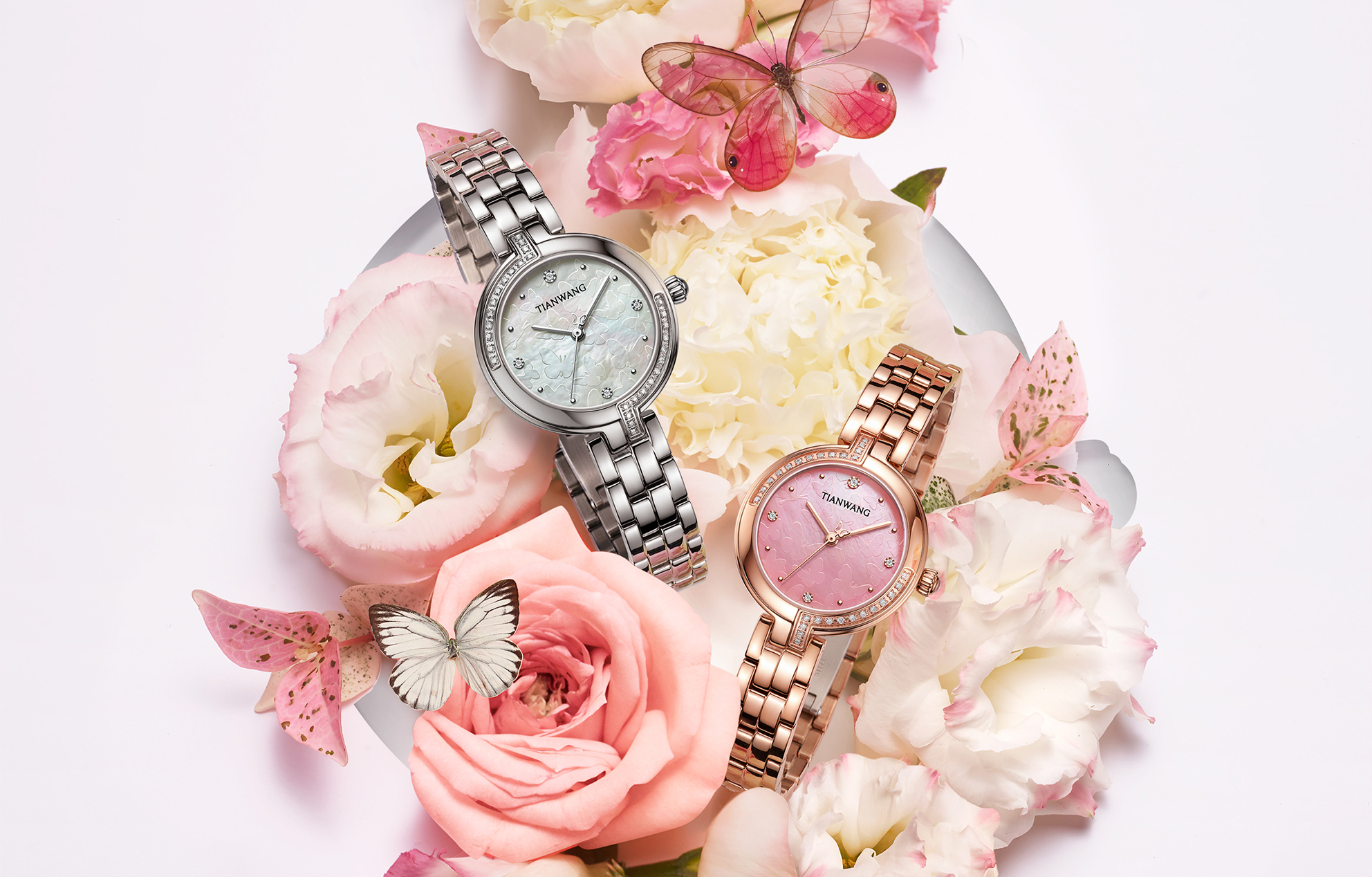 天王表尚·SHINE系列畅销腕表——蝴蝶表的浪漫魅力