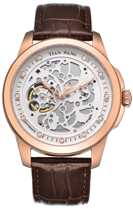 其他系列 GS5828P