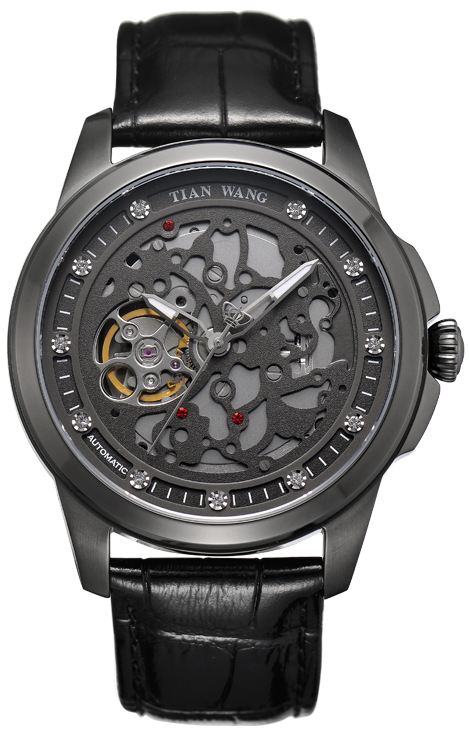 Other Series GS5828B